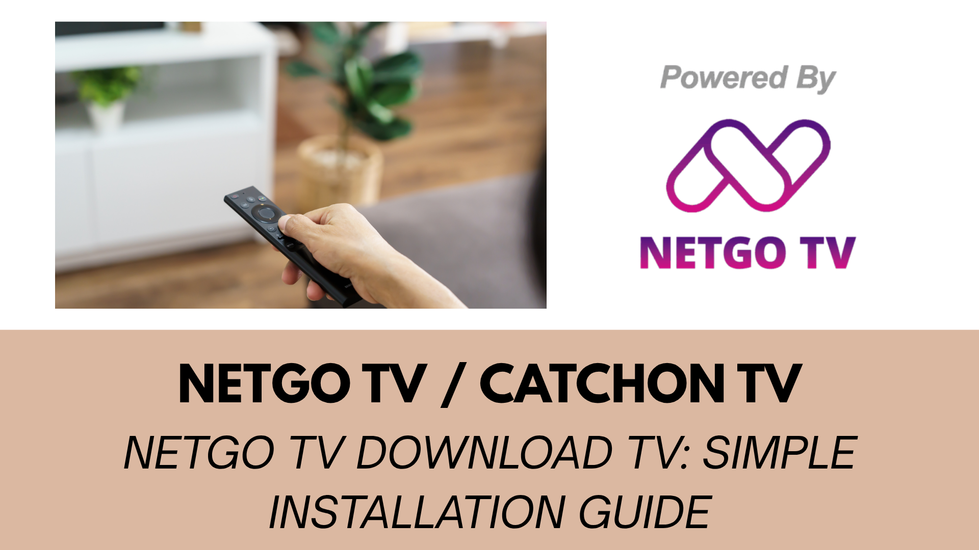 NetGo TV Download TV